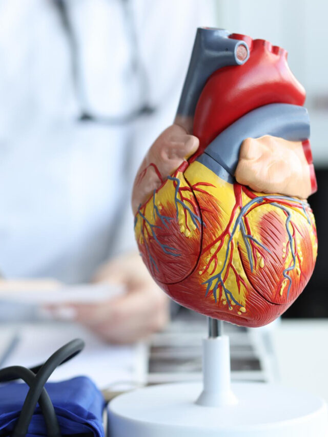 cropped-artificial-plastic-model-human-heart-standing-against-background-cardiologist-closeup-1.jpg